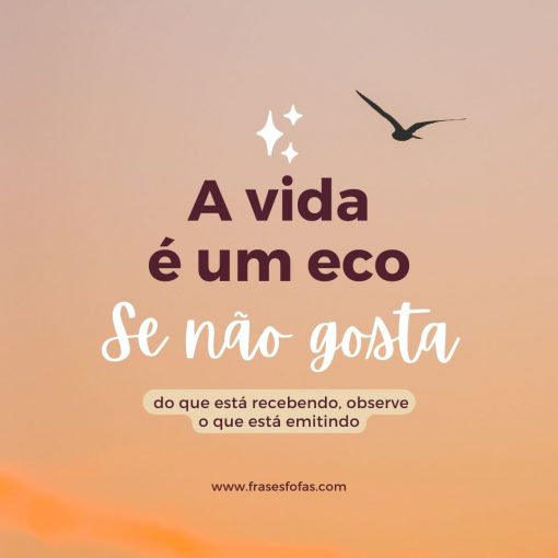 A vida é um eco - imagem
