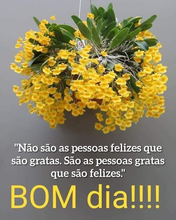 "Não são as pessoas felizes que são gratas. São as pessoas gratas que são felizes!" Bom dia!!!! imagem