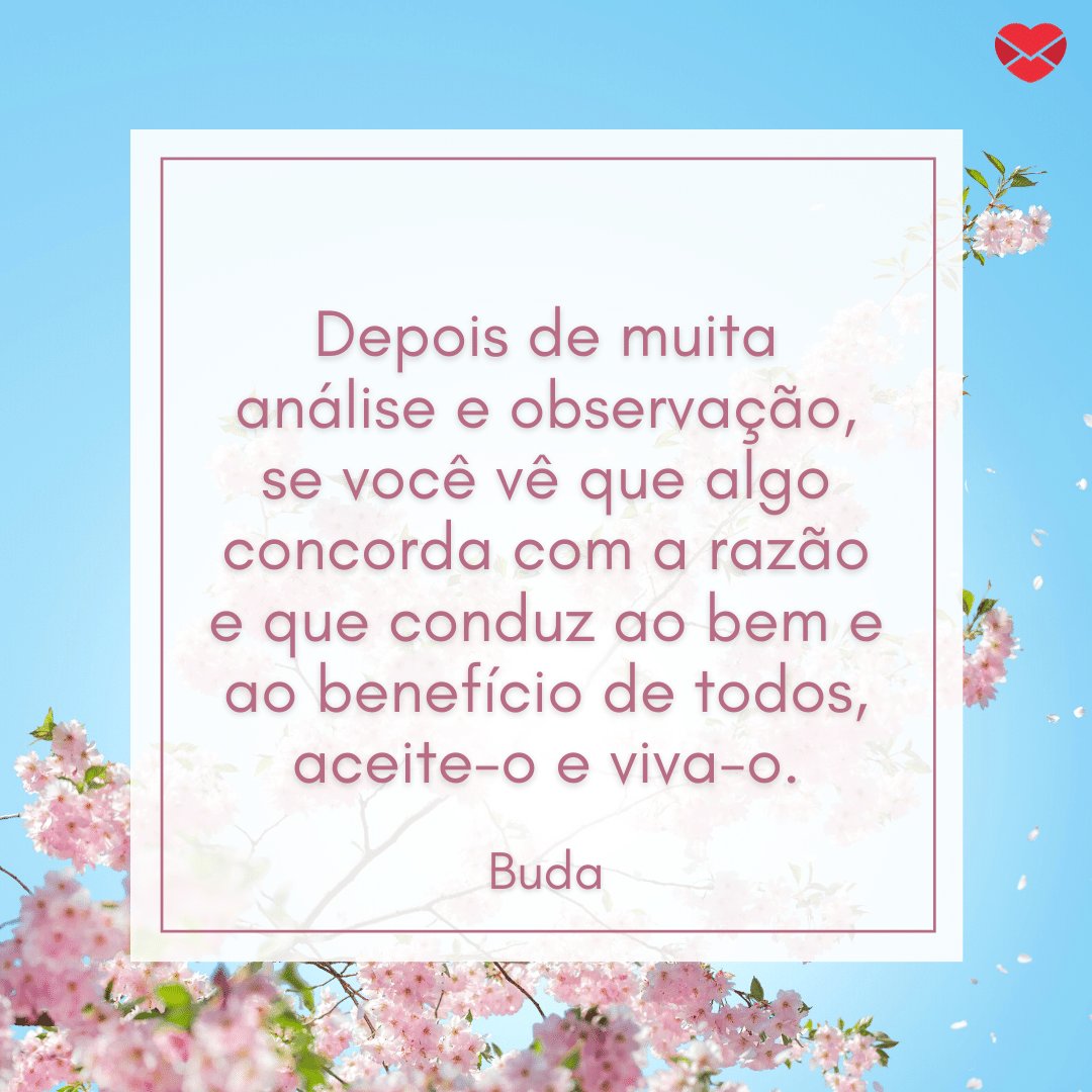 Não acredite em algo simplesmente porque ouviu - imagem