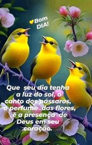 Que seu dia tenha luz