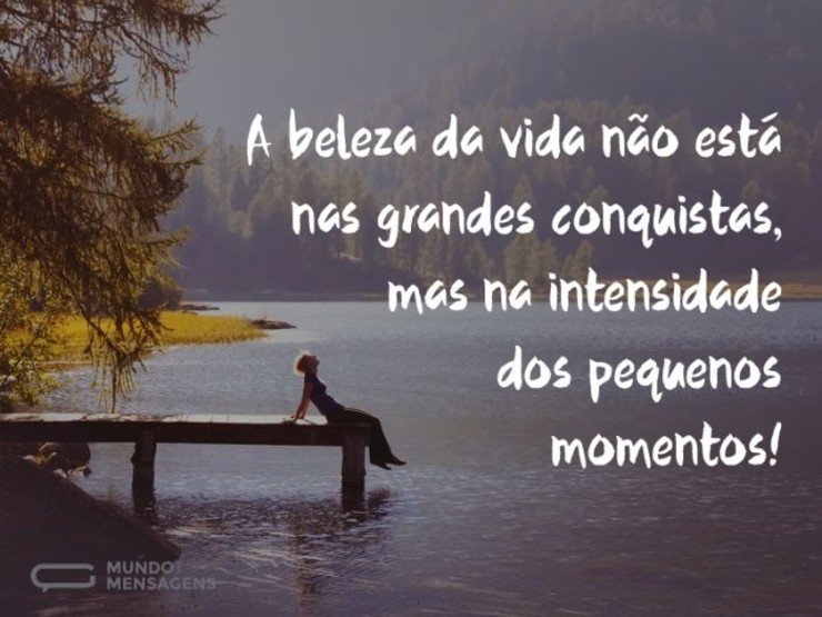 A beleza da vida - imagem